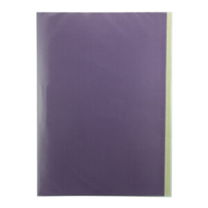 Carpeta Plastificada con Accoclip Morada