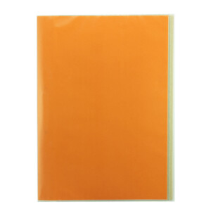 Carpeta Plastificada con Accoclip Naranja