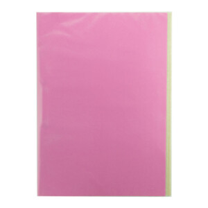 Carpeta Plastificada con Accoclip Rosada