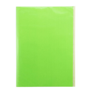 Carpeta Plastificada con Accoclip Verde Claro