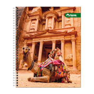 Cuaderno Universitario Clásico Lito Torre