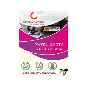 Papel Fotocopia Carta 100 Unidades